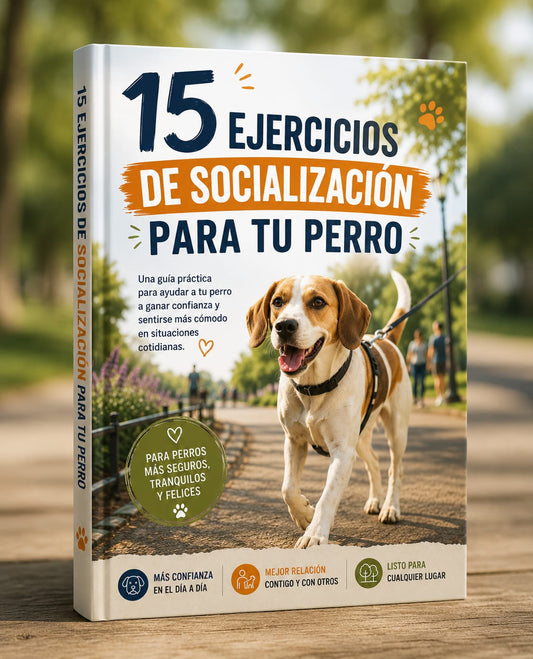 🐕 15 Ejercicios de Socialización para tu Perro