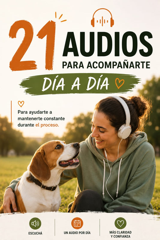 🎧 21 Audios de Acompañamiento Día por Día